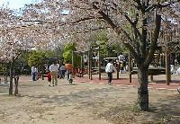 �t�B�[���h�E�A�X���`�b�N�X