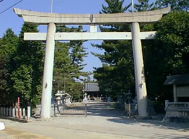 �����_��