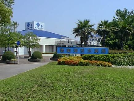 �C�l������